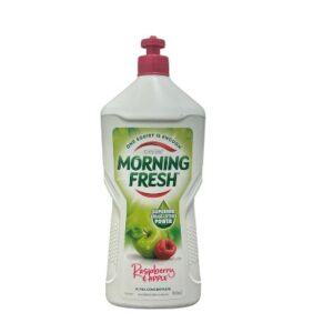 Morning Fresh 900ml