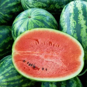 WATER MELON