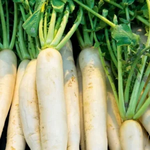 Radish Each