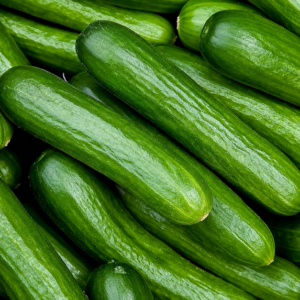 Lebanese Cucumber per kg