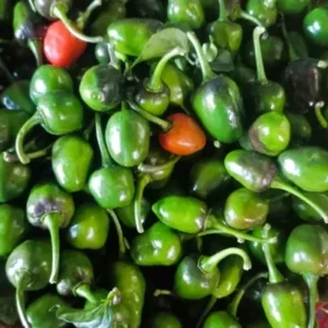 Round chilli 200g