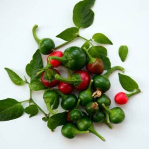 Round Chilli 50gm